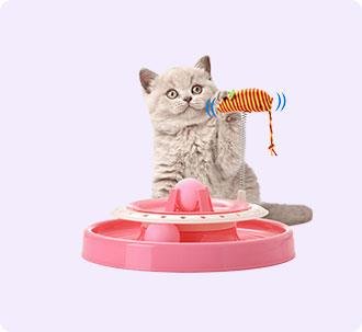 cat-toys