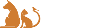 petgine.com